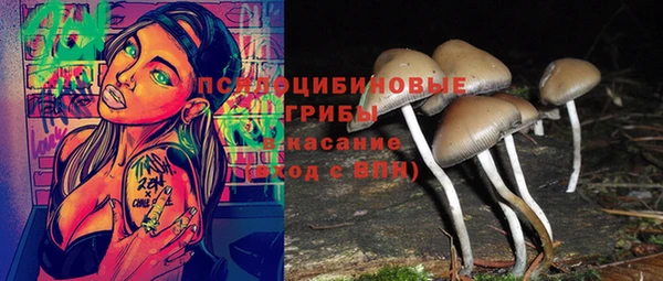 бошки Алексеевка