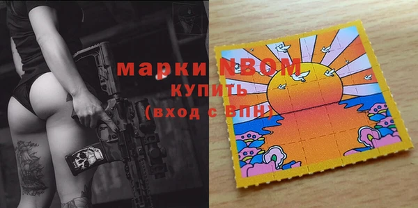 молекула духа Снежинск