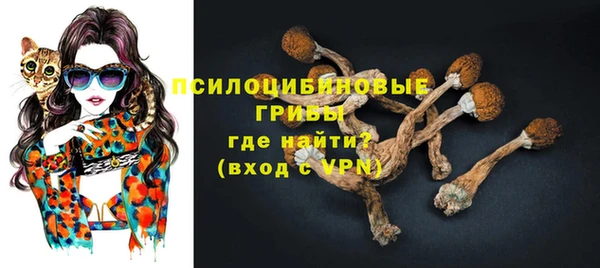 тгк Алзамай