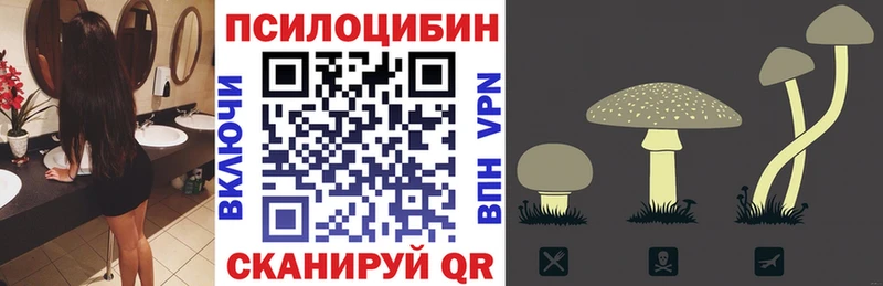 гидра ссылки  Кинешма  Псилоцибиновые грибы MAGIC MUSHROOMS 