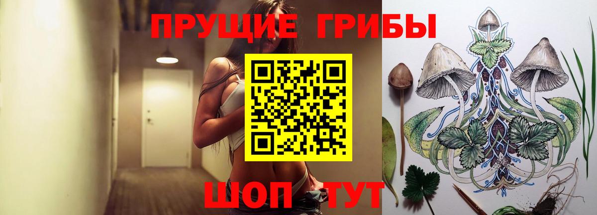 Псилоцибиновые грибы прущие грибы Кинешма